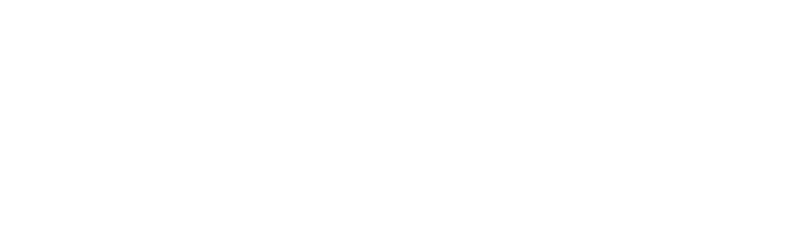 Velosolutions